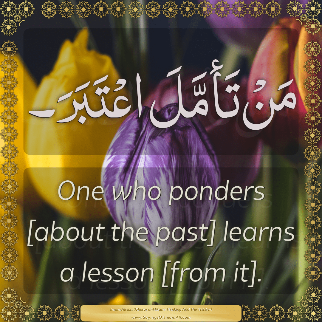 One who ponders [about the past] learns a lesson [from it].